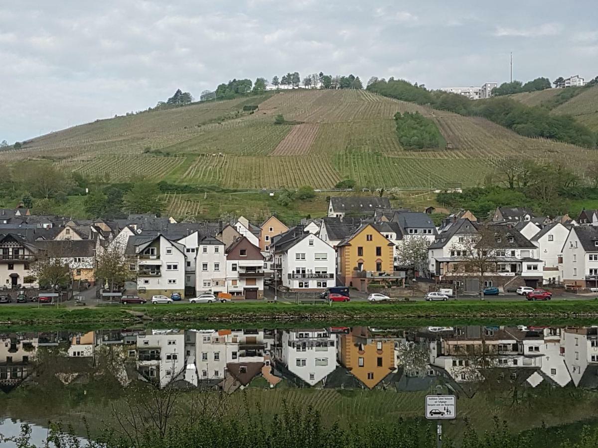 Haus Marlene Apartment Zell an der Mosel Exterior foto